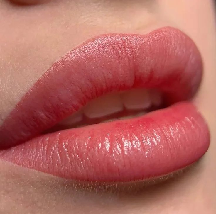 Lip Contour