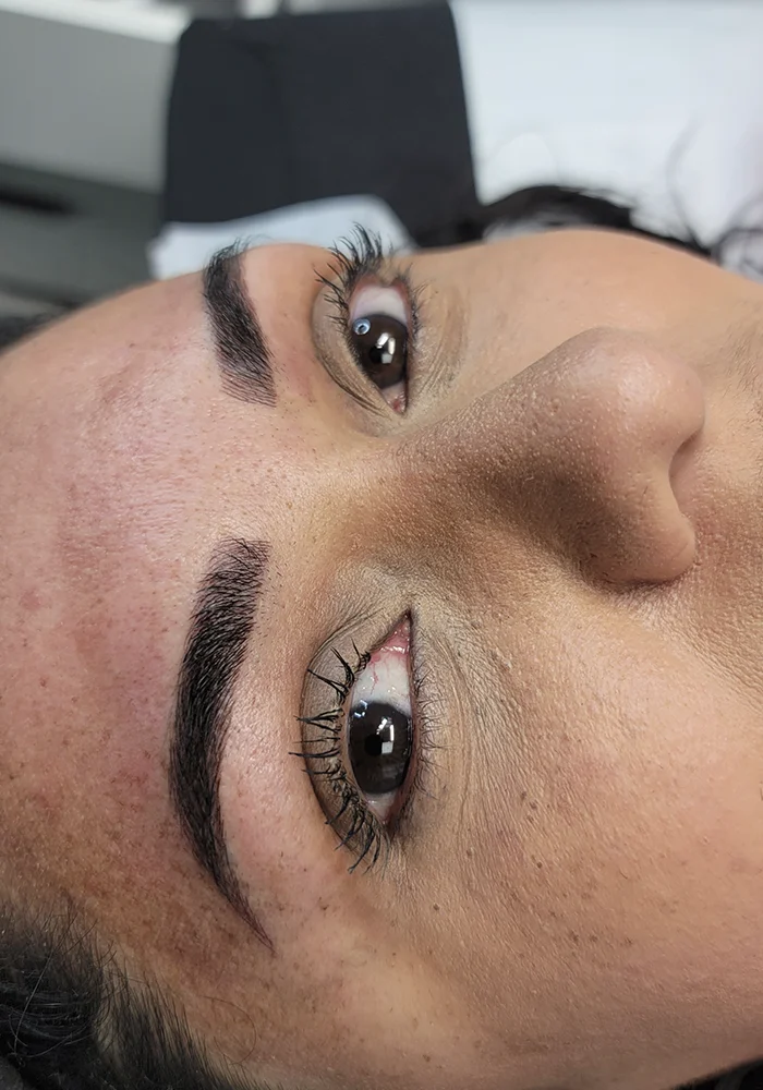 laine-photo-brow-12